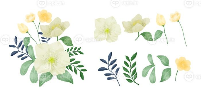 دانلود وکتور مجموعه ای از گل های نقاشی شده با آبرنگ