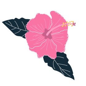 دانلود وکتور گل هیبیسکوس با دست طراحی شده با برگ مفهوم گل استوایی عجیب و غریب تصویر تخت
