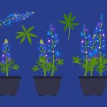 دانلود تصاویر پس زمینه آثار هنری مفهومی ربات هنر فانتزی سایبورگ