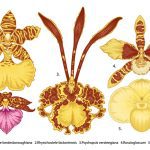 دانلود استیکرهای کارتونی اشیای ناز روزانه با دست طراحی شده