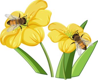 دانلود وکتور نزدیک زنبور عسل روی گل ها