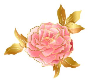 دانلود وکتور گل صد تومانی صورتی ملایم با خط سرد در ملایم آسیایی
