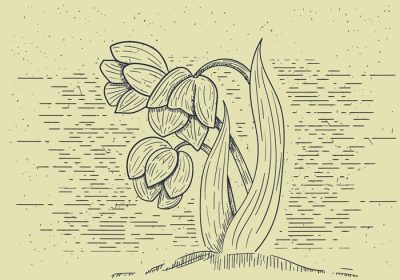 دانلود وکتور با جزئیات تصویر برداری گل با دست طراحی شده برای برچسب پوستر کارت تبریک وب سند و سایر سطوح تزئینی