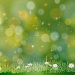 سبد خرید و پرداخت