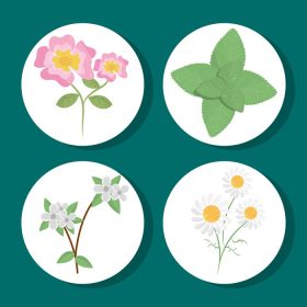 دانلود وکتور گل گیاهان گیاهان پوشش گیاهی