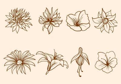 دانلود مجموعه وکتور گل طراحی شده با دست این نمادها برای تم طراحی کلاسیک یا قدیمی مناسب هستند آن را به صورت رایگان دریافت کنید