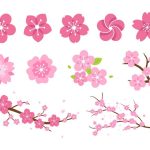 سبد خرید و پرداخت