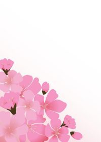 دانلود وکتور انتزاعی گل ساکورا گل ژاپنی پس زمینه طبیعی تصویر برداری
