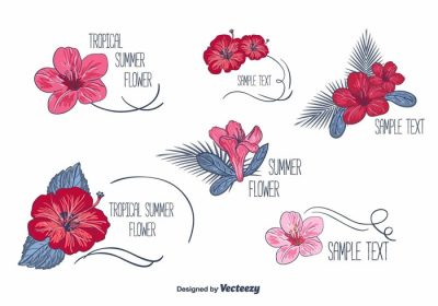 دانلود وکتور گل های طراحی شده با دست و برچسب های عالی برای پروژه شما