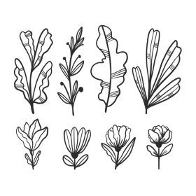 دانلود وکتور ابله ناز برگ و گل برای استفاده در بروشور یا پست پوستر