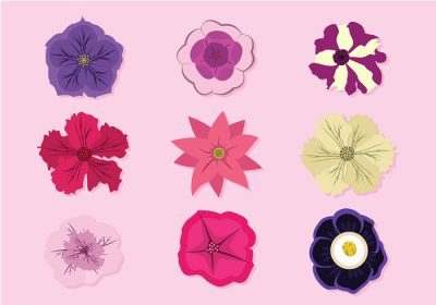 دانلود وکتور موجود در این بسته منابع گرافیکی مختلف گل اطلسی عالی برای زیبایی است