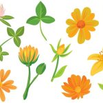 دانلود طرح کاغذ دیواری پوستر دیواری سه بعدی چهره زن قهوه ای فانتزی