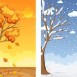 سبد خرید و پرداخت