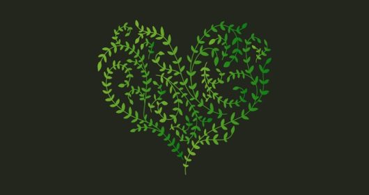 دانلود وکتور شاخه های قلبی شکل با برگ های ابله طراحی شده با دست اکو