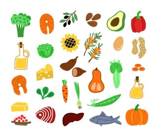 دانلود وکتور مجموعه ای از تصاویر سبزیجات سالم غذای ارگانیک