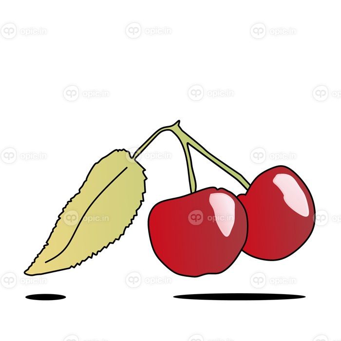 دانلود وکتور تصویر وکتور گیلاس با برگ هایشان بر روی یک سفید