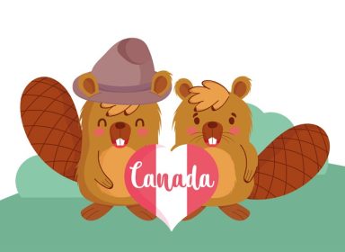 دانلود وکتور Beavers با طرح وکتور قلب کانادایی