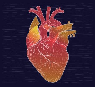 دانلود وکتور وکتور تصویر قلب کشیده شده با دست طراحی شده برای برچسب پوستر کارت پستال سند وب و سایر سطوح تزئینی