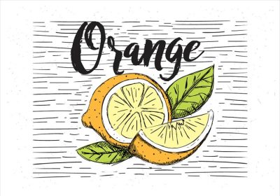 دانلود وکتور تصویر نارنجی رنگی طراحی شده با دست طراحی شده برای برچسب پوستر کارت تبریک وب سند و سایر سطوح تزئینی