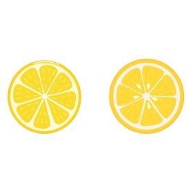 دانلود وکتور برش های لیموی تازه طرح میوه و مفهوم غذا