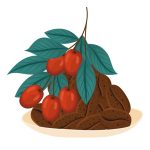 وکتور الگوی وینتیج خالکوبی رنگارنگ با رزهای دخترانه شاخدار