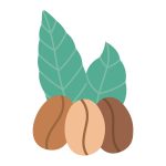 دانلود مجموعه ای از عناصر تابستانی مناظر ساحل تاری ، گل صدف ، گل ، لنگر ، ستاره دریایی ، آسمان با خورشید. دست کشیده شده به سبک. typog