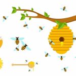 سبد خرید و پرداخت