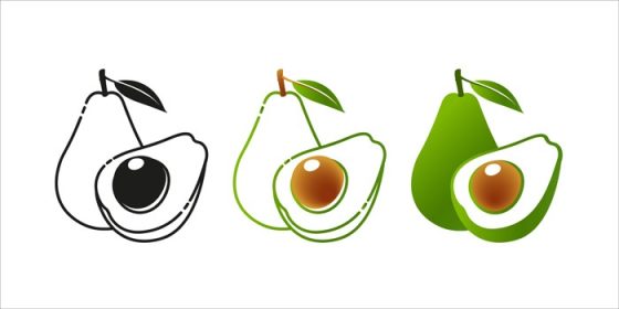 دانلود مجموعه وکتور آووکادو میوه کامل و نیم لوگو تایپ وکتور آووکادو