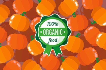 دانلود وکتور پوستر یا بنر با تصویر زمینه کدو تنبل نارنجی و برچسب گرد سبز رنگ مواد غذایی ارگانیک