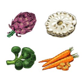 دانلود وکتور وکتور طراحی دستی تصویر سبزیجات به سبک وینتیج
