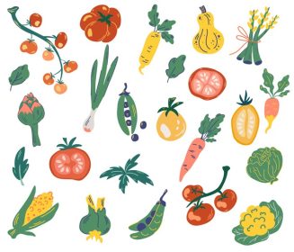 دانلود وکتور مجموعه سبزیجات غذای سالم گیاهی مزرعه وگان