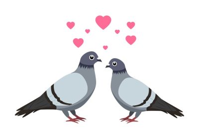 دانلود وکتور دو کبوتر روی شاخه با نماد عشق شکل قلب