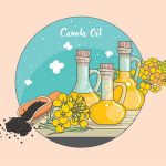 سبد خرید و پرداخت