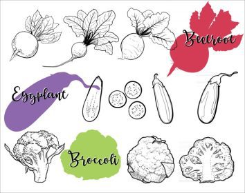 دانلود وکتور نقاشی های خطی سبزیجات ارگانیک غذای سالم هستند