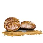 سبد خرید و پرداخت