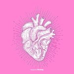 سبد خرید و پرداخت