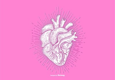 دانلود وکتور طراحی خطی قلب تشریحی با الهام از اچینگ