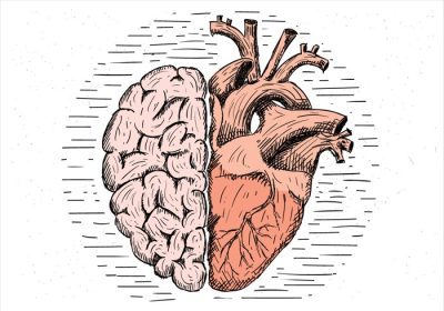 دانلود وکتور تصویر مغز و قلب طراحی شده با دست طراحی شده برای برچسب پوستر کارت تبریک وب سند و سایر سطوح تزئینی