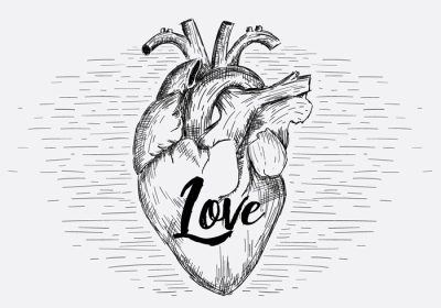 دانلود وکتور تصویر قلب دقیق طراحی شده برای برچسب پوستر کارت پستال سند وب و سایر سطوح تزئینی