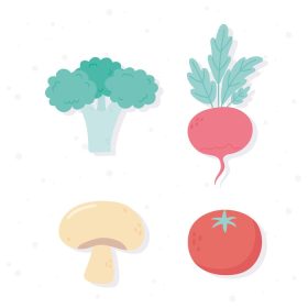 دانلود وکتور سبزیجات تازه رژیم غذایی ارگانیک غذای سالم چغندر گوجه فرنگی نمادهای کلم بروکلی تصویر برداری