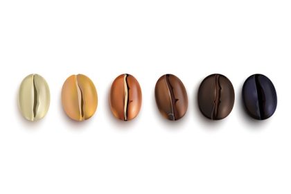 دانلود وکتور دانه های قهوه مجموعه واقع گرایانه که مراحل مختلف برشته کردن جدا شده بر روی تصویر وکتور پس زمینه سفید را نشان می دهد.