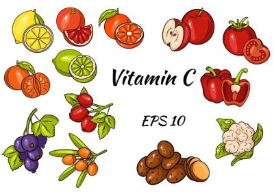 دانلود مجموعه وکتور مجموعه میوه ها و سبزیجات و انواع توت ها ویتامین c مواد غذایی سالم مجموعه عالی