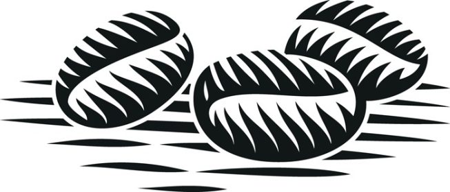 دانلود وکتور سیاه و سفید تصویر وکتور دانه های قهوه به سبک حکاکی