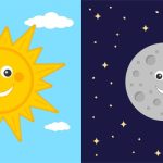 سبد خرید و پرداخت