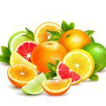 سبد خرید و پرداخت