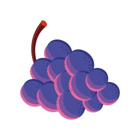 دانلود وکتور میوه انگور غذا
