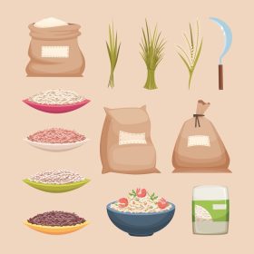 دانلود وکتور برنج دانه بندی گونی های ذخیره سازی محصولات برنج دانه بندی شده