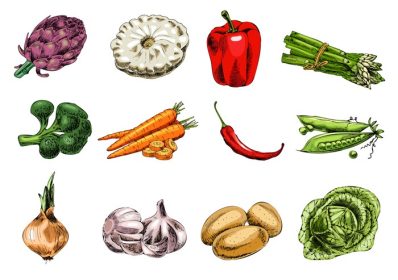 دانلود وکتور وکتور طراحی دستی تصویر سبزیجات مجموعه ای به سبک وینتیج