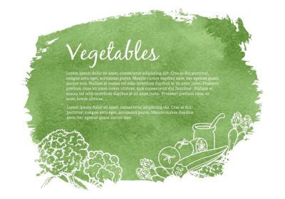 دانلود وکتور مجموعه ای از سبزیجات با دست کشیده روی پس زمینه آبرنگ سبز عالی برای استفاده در رستوران غذا و مفاهیم رژیمی