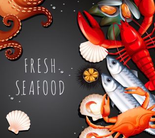 دانلود مجموعه وکتور تصویر غذاهای دریایی تازه